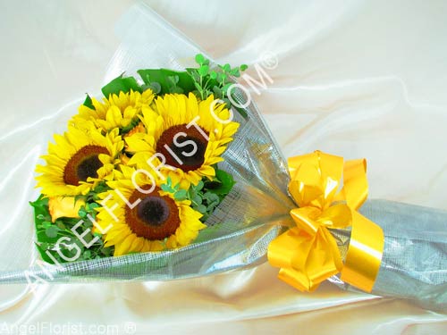 Sunflower  Glory